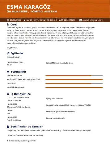 Yönetici Asistanı Cv Örnekleri cv indir